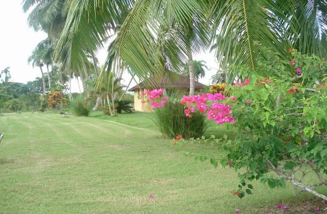 Hotel Coco Loco Miches jardin